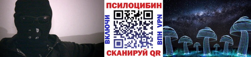 купить наркоту  Удомля  гидра tor  Галлюциногенные грибы Cubensis 