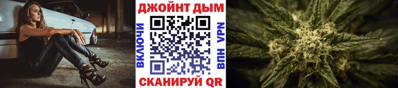 закладка Удомля Канабис сатива